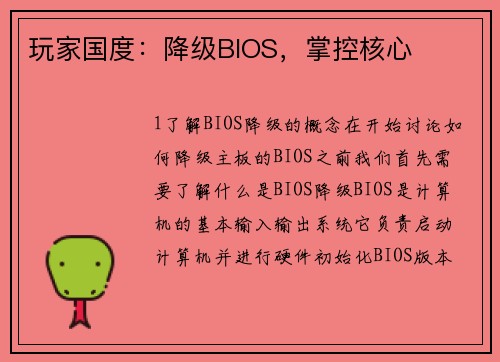 玩家国度：降级BIOS，掌控核心